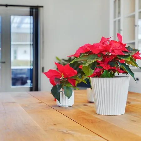 Sommerhus Ved Vadehavet Tatil Evi *